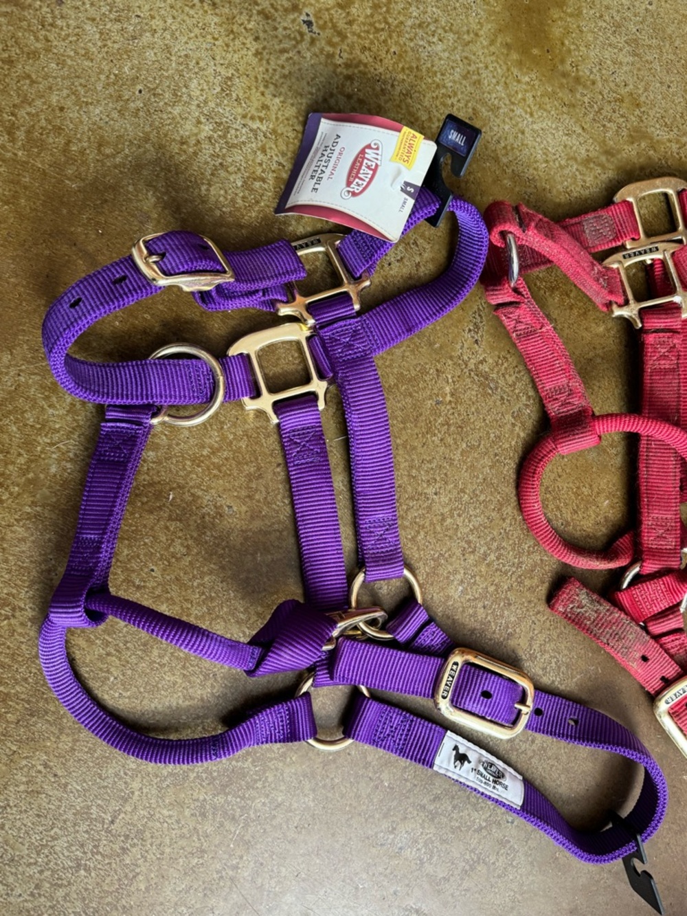 Weaver Leather Purple Nylon Adjustable Small Horse Halter with Brass Hardware 1”